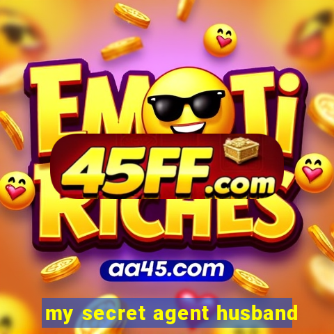 my secret agent husband